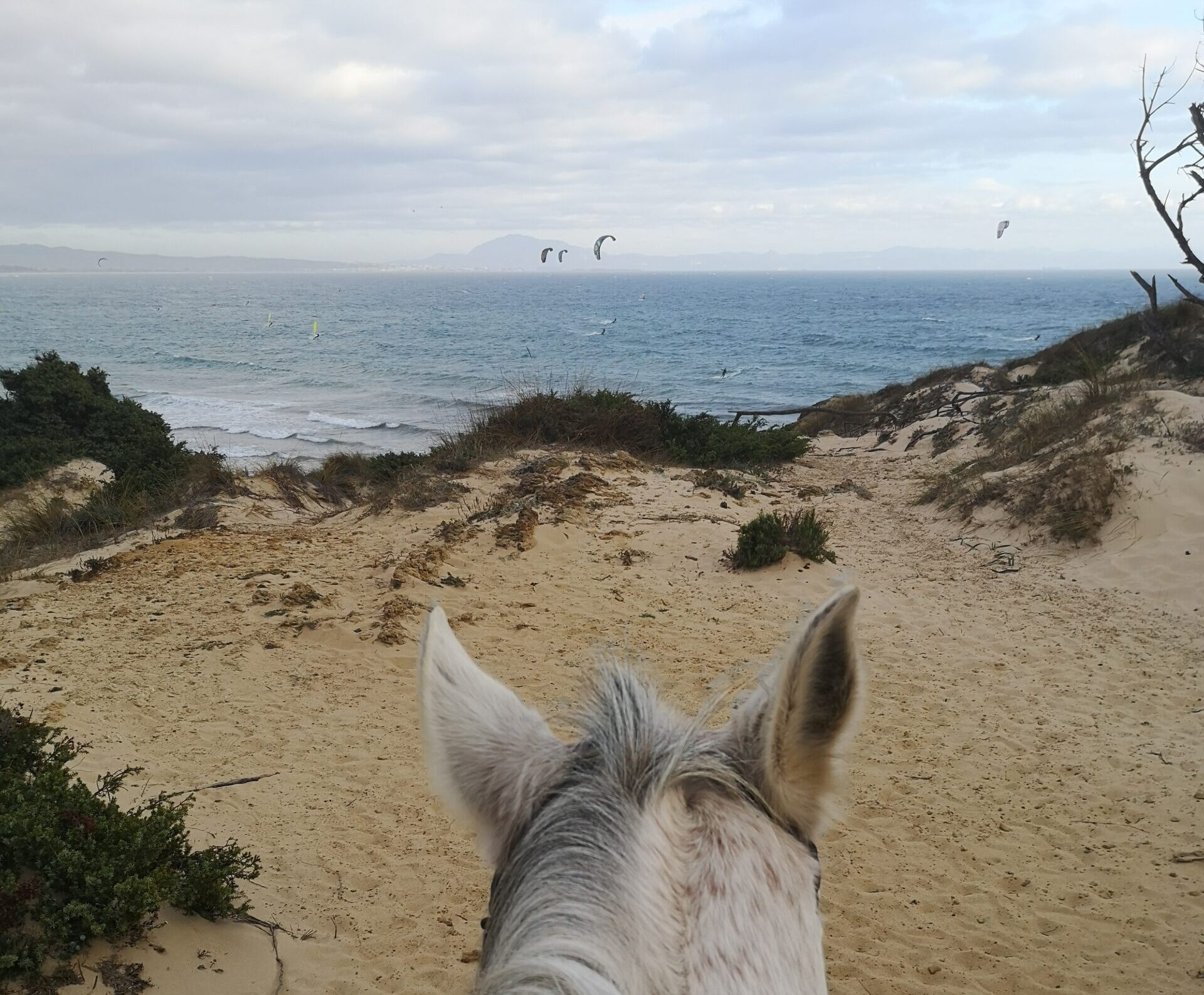 Überpowert in Tarifa